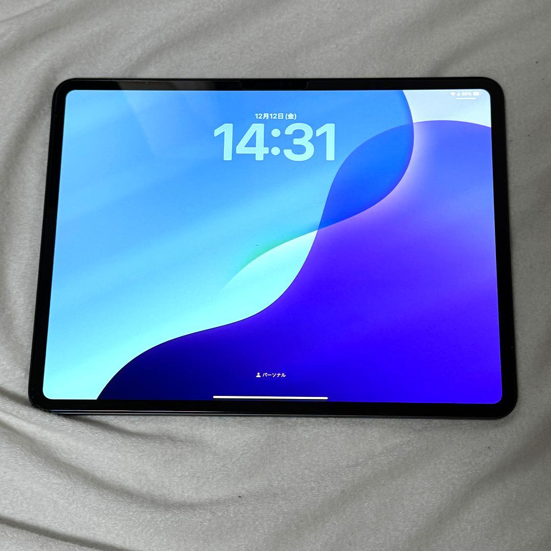 13インチiPad Pro(M4)Wi-Fi 256GB フィルム貼付 ケース付