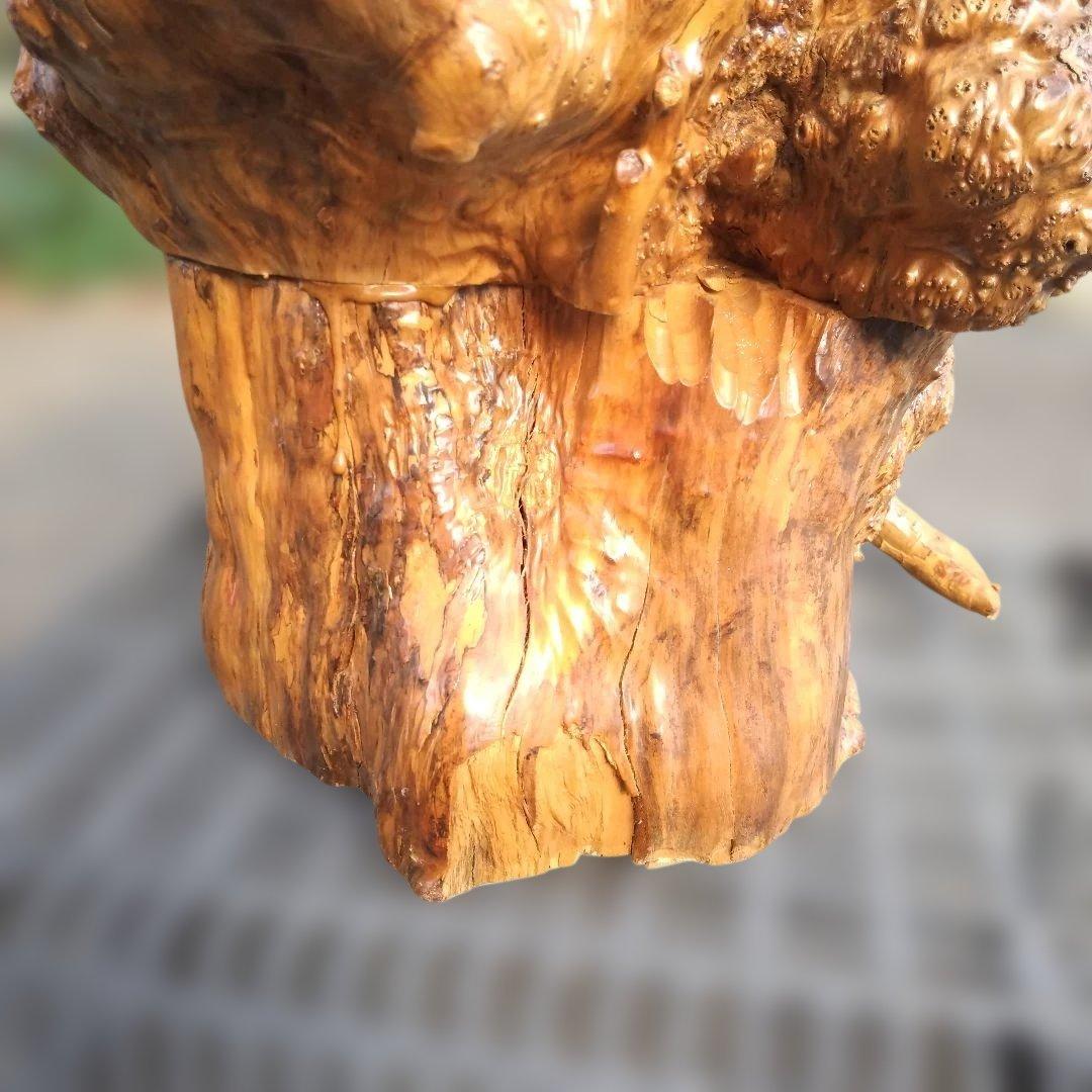 花台、工芸品、置物、自然木、アート、インテリア、展示会、盆栽、盆栽鉢