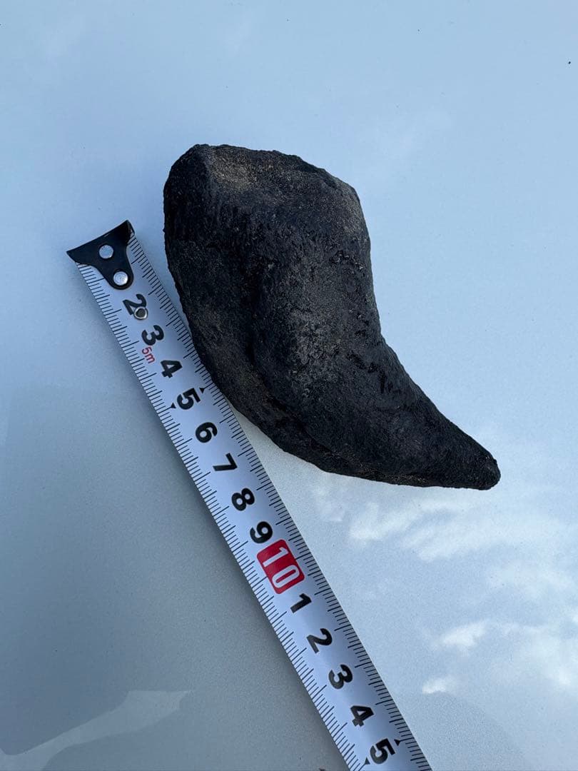 アロサウルス　化石　フットクロウ　恐竜