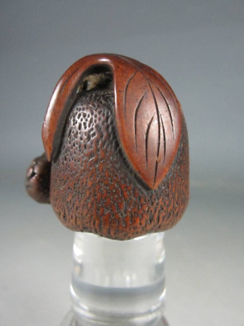 専用 木の実 木彫刻 桐紋彫 緒締め玉 柘植？紐通し 細密細工 古美術