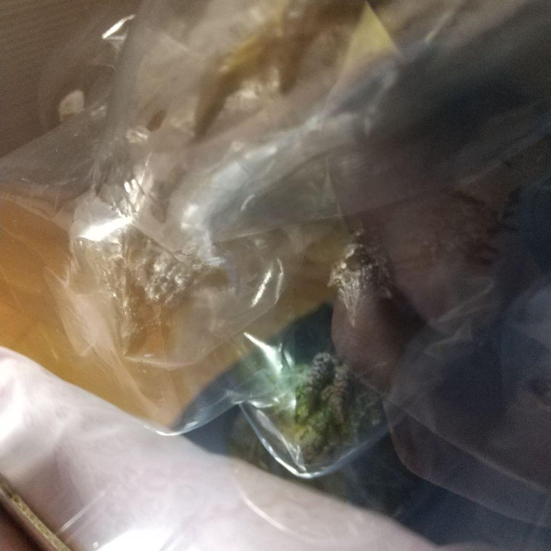 モンスターハンタークリエイターズモデル　カプコン　フィギュア