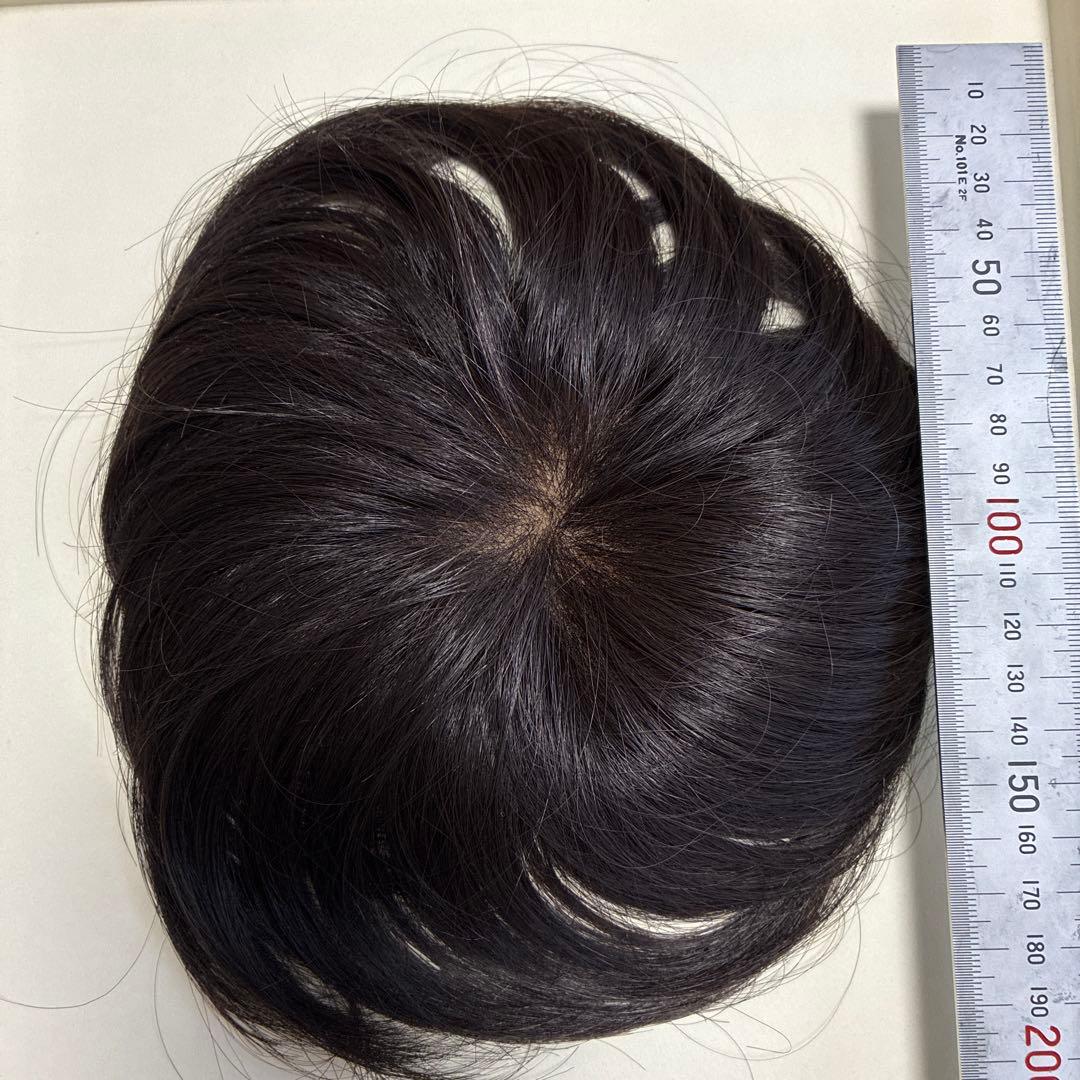 フォンテーヌ　ウィッグ