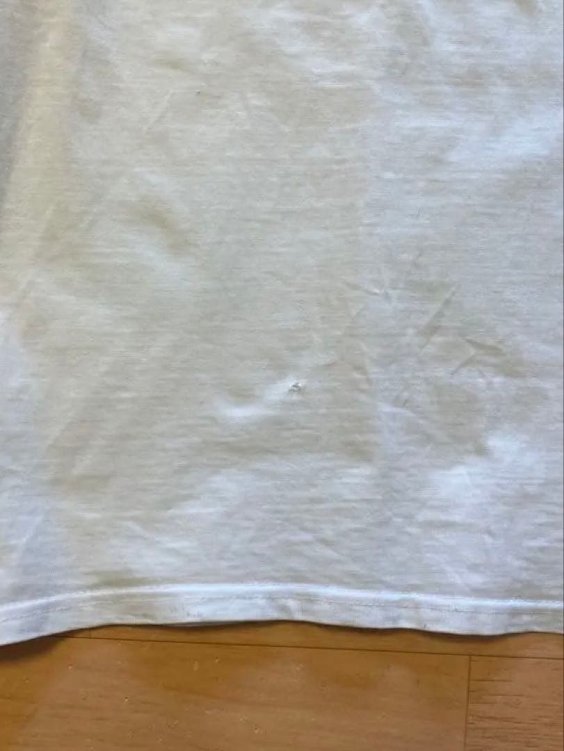 トップス old Stussy photo T-shirt 00s