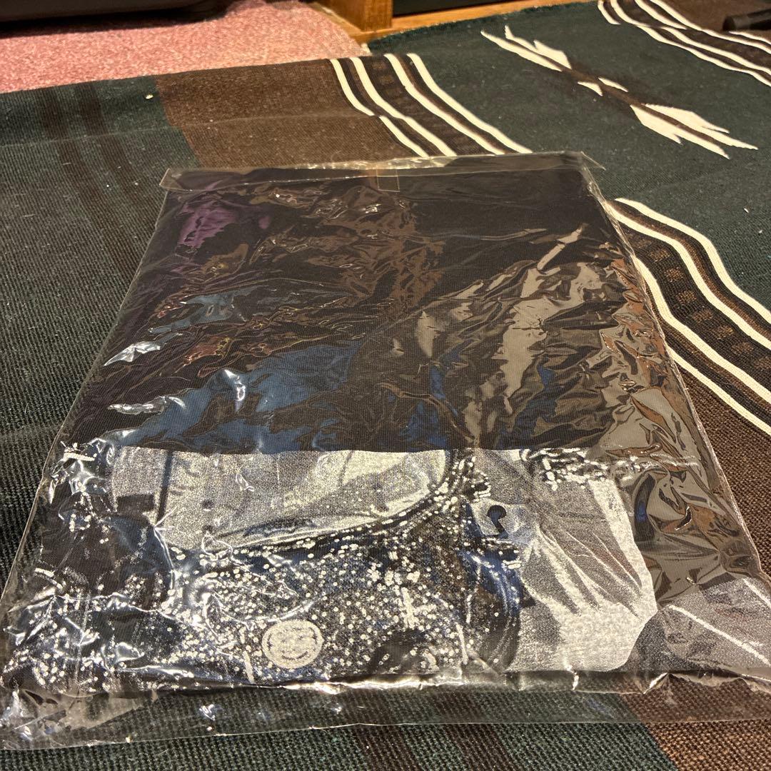 Hi-STANDARD 恒岡章追悼Tシャツ ハイスタ ツネ 新品未開封 送料無料