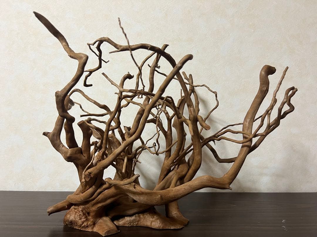 30211 ブランチウッド　流木　アクアリウム　沈水確認済