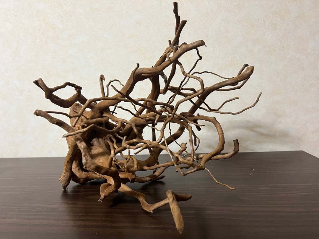 30211 ブランチウッド　流木　アクアリウム　沈水確認済