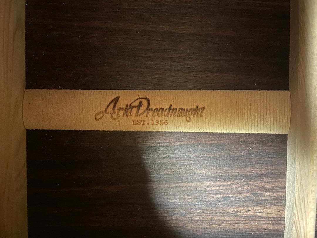 ギター Aria Dreadnoght AF-60