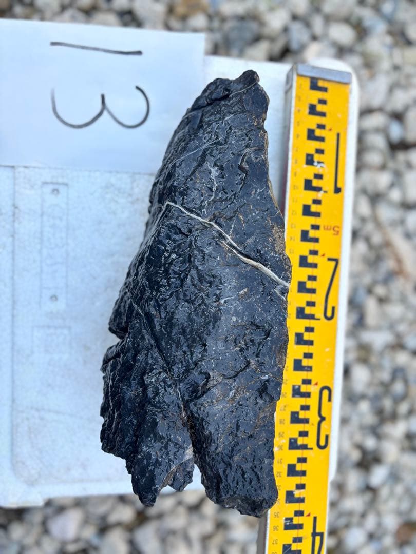 ADA 龍王石　清涼石　水槽用石