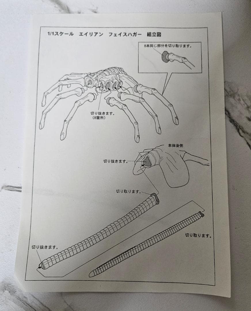 1/1スケール フェイス ハガー エイリアン(アオシマ SKYNET)