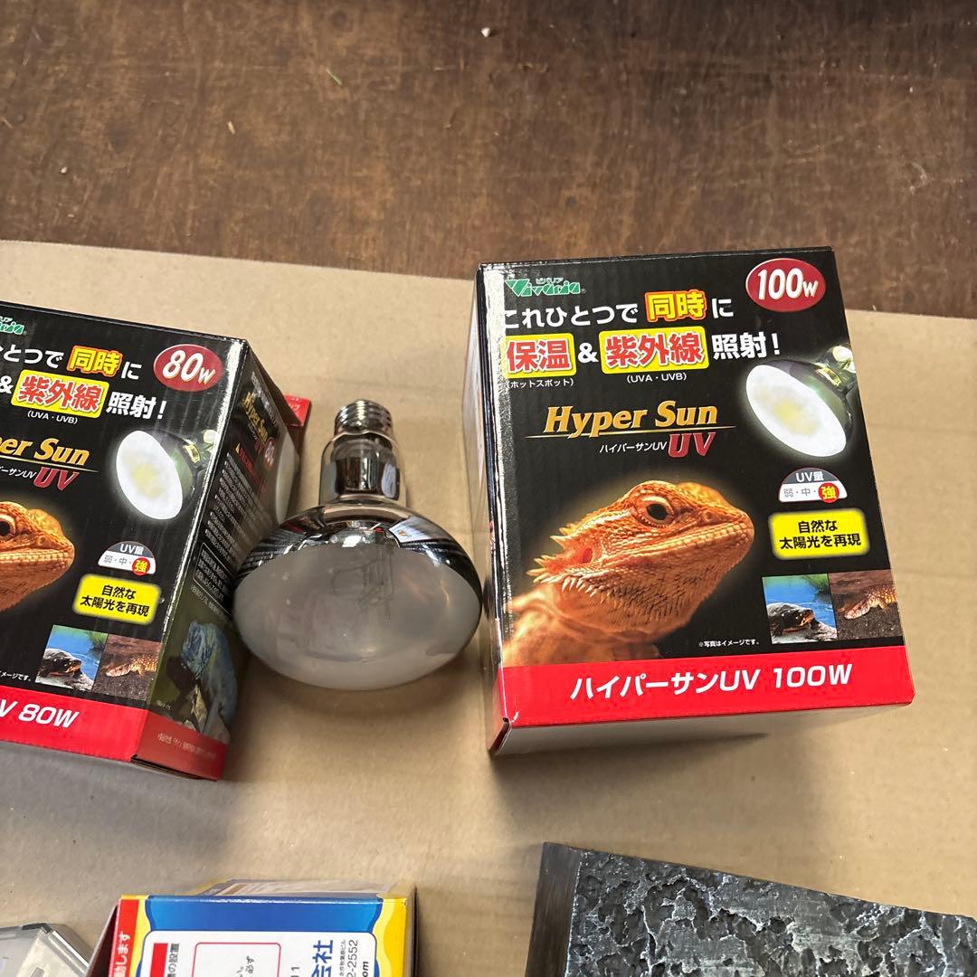 爬虫類用　用品まとめ売り