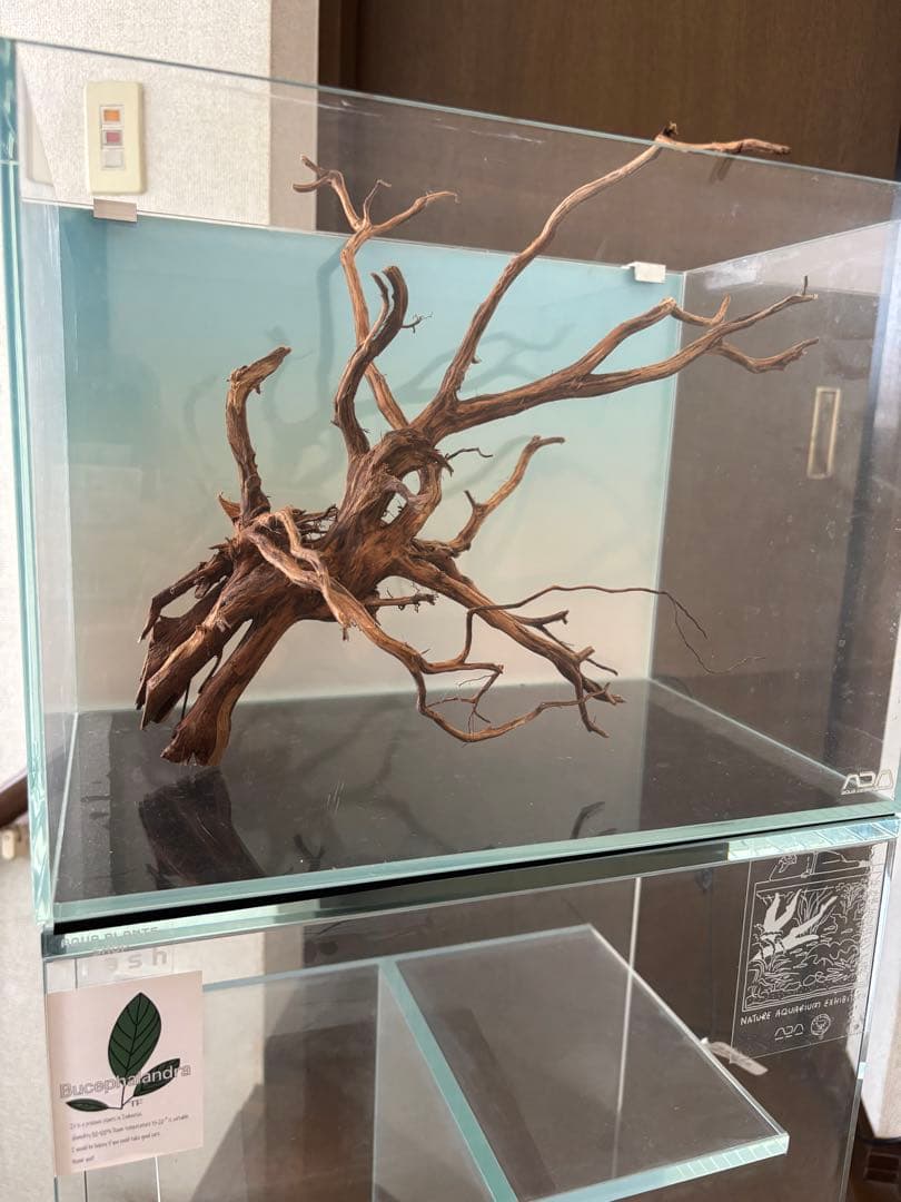 ADA Nature Aquarium 36㎝ガラス水槽セット