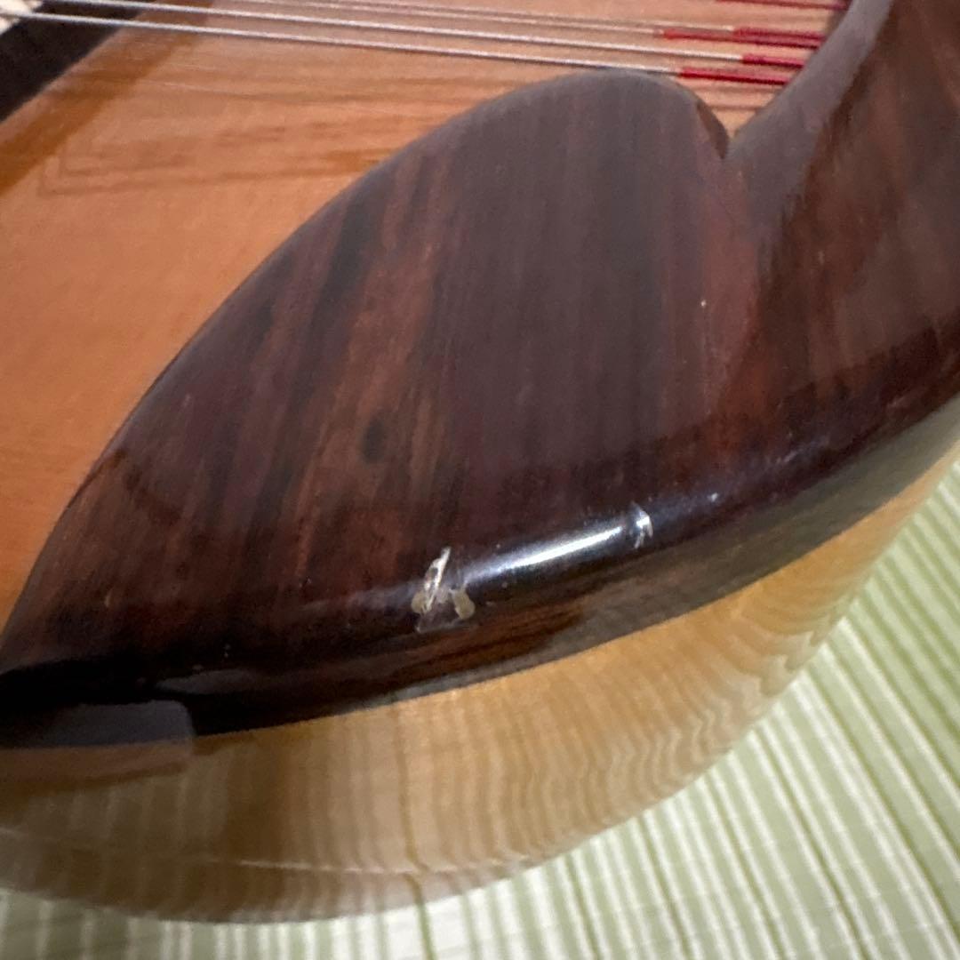 Raffaele 寺田楽器製 ハイエンド マンドリン RM-3 弦　ギター