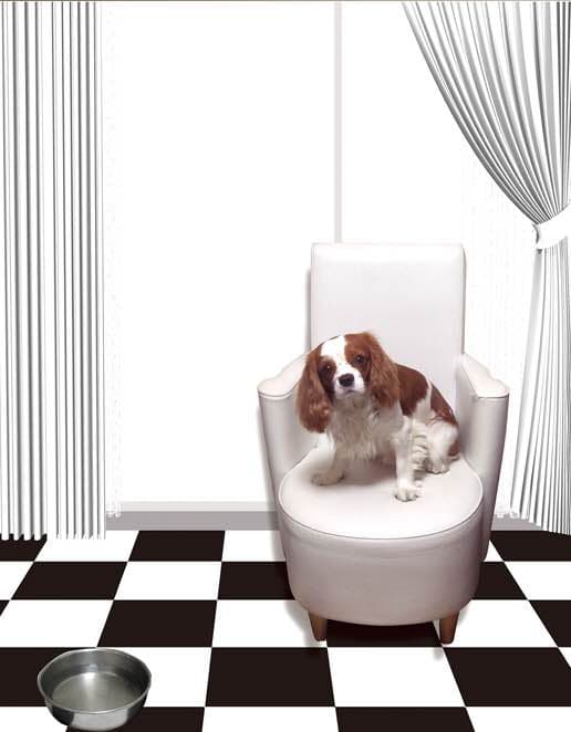 キャバリアグッズ絵画F8号キャンバス地にジークレイによるグラフィックアート