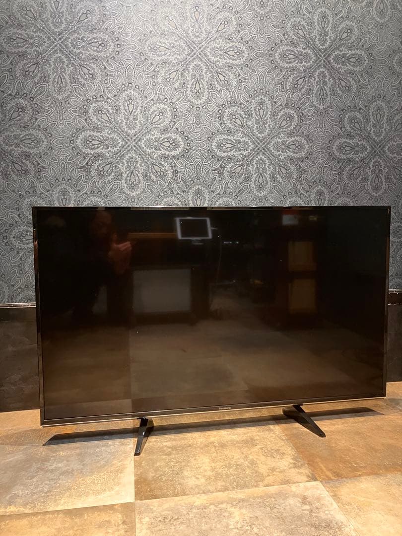 Panasonic パナソニック 49型TV TH-49EX600 並品
