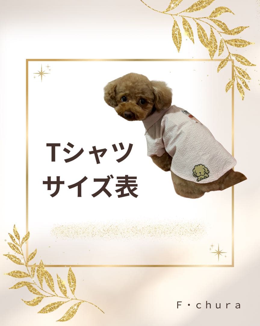 犬用Tシャツ サイズ表