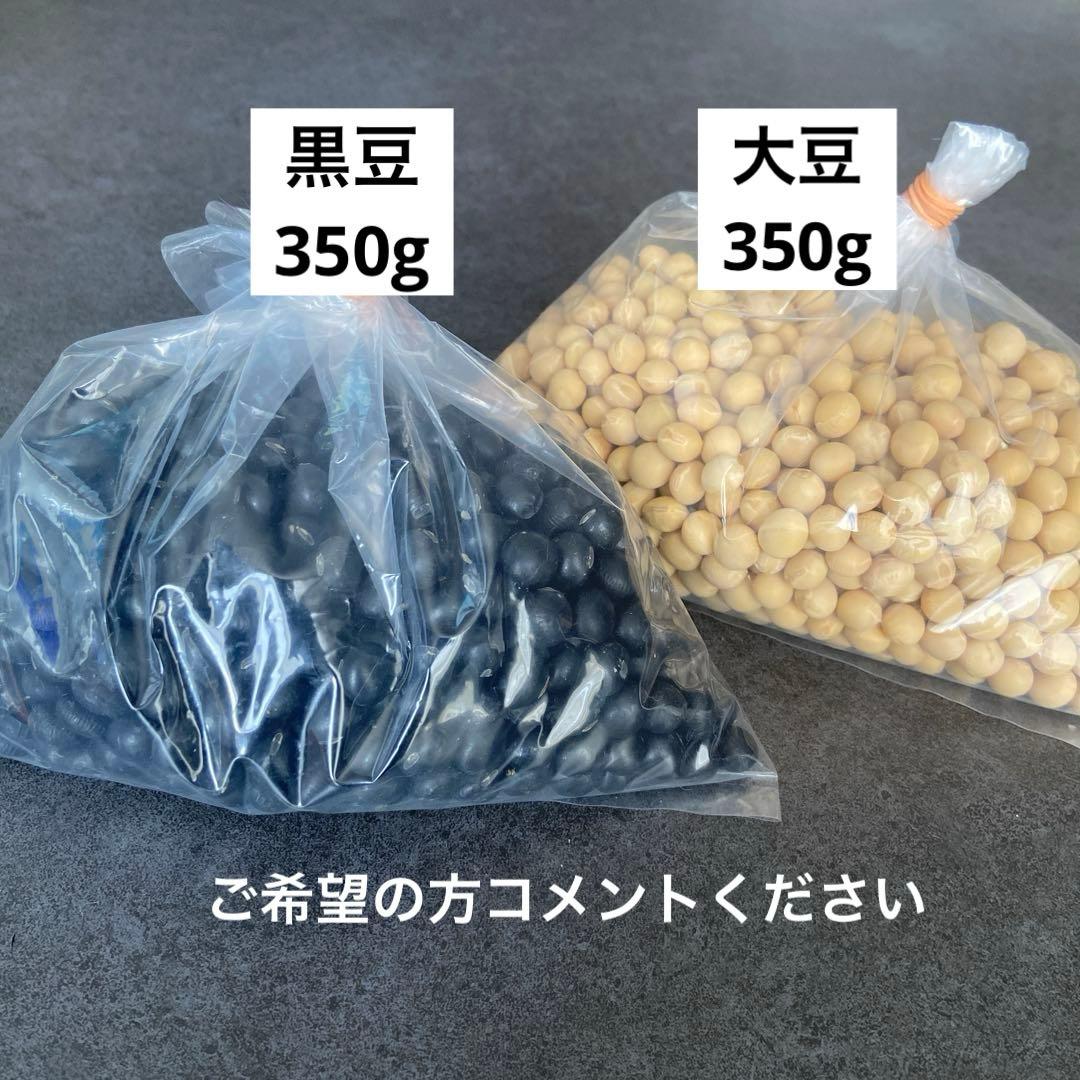 美品 SOY RICH ソイリッチ 完全豆乳メーカー　大豆700g付き