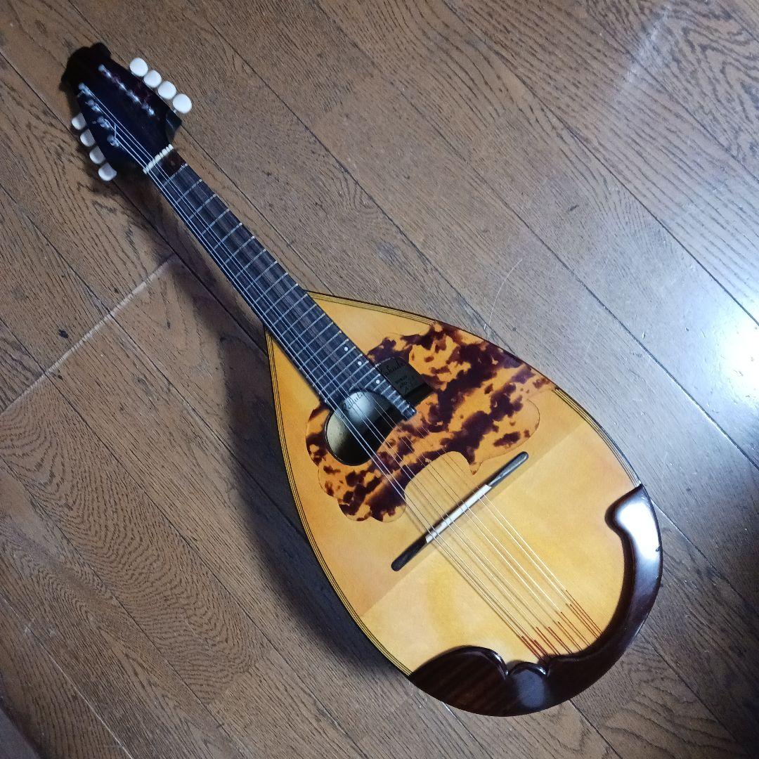 マンドリン＆ハ－ドケース