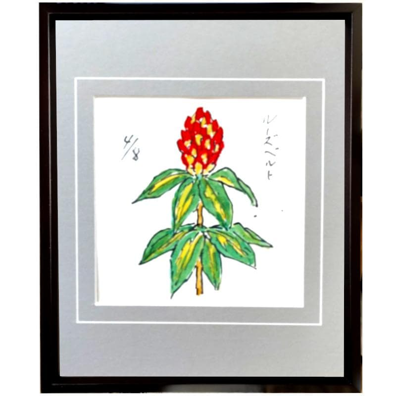 ☆ 坂本直行 ☆「ルーズベルト」水彩画　1982年4月8日制作　証明書　未使用！