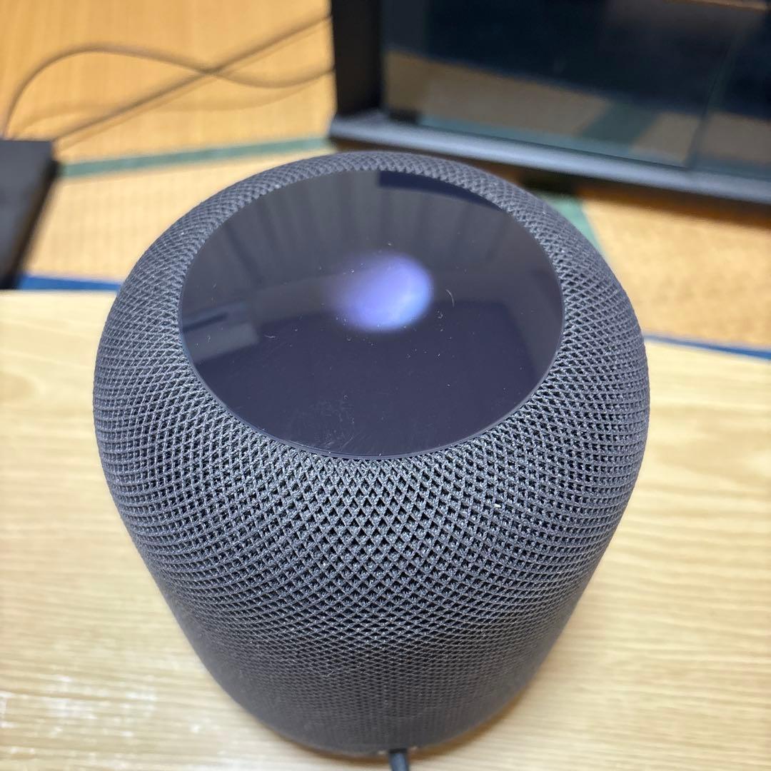 スピーカー・ウーファー Apple Pod black