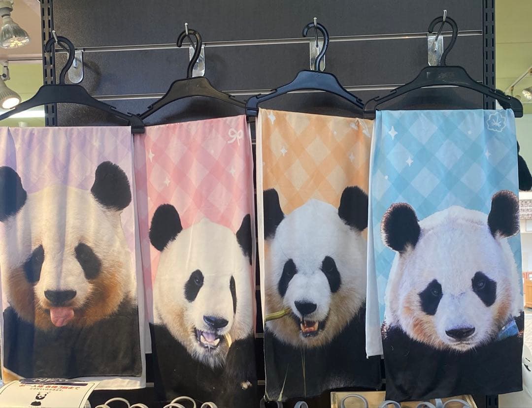 アドベンチャーワールド パンダ 彩浜 楓浜 良浜 結浜 クールタオル ４種