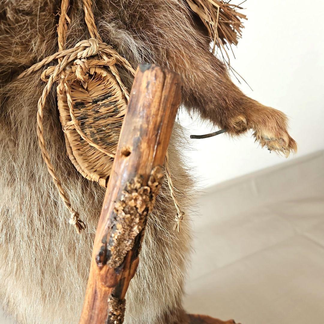 タヌキ　狸　鳥獣　剥製　本物　縁起物　商売繁盛　出世運　天然木　台座付き