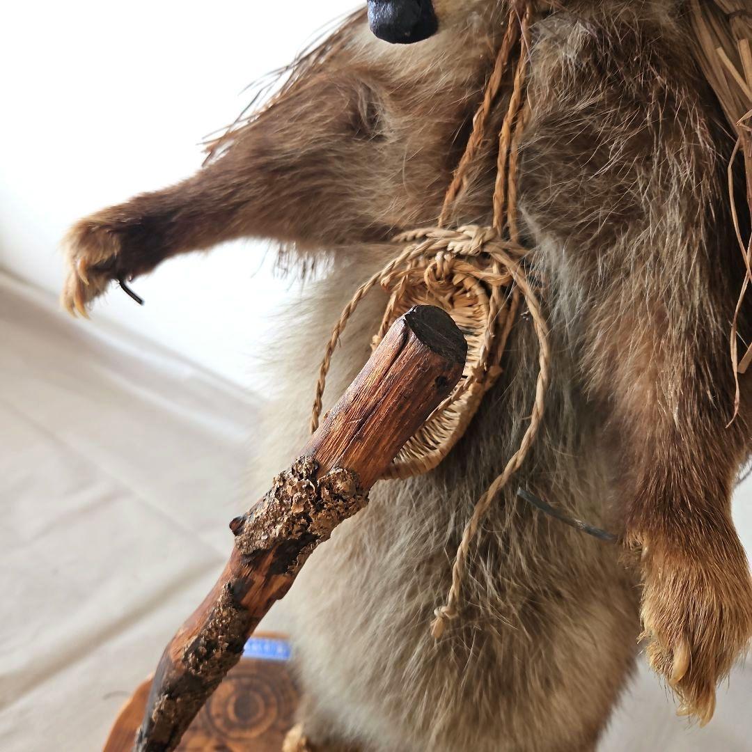 タヌキ　狸　鳥獣　剥製　本物　縁起物　商売繁盛　出世運　天然木　台座付き