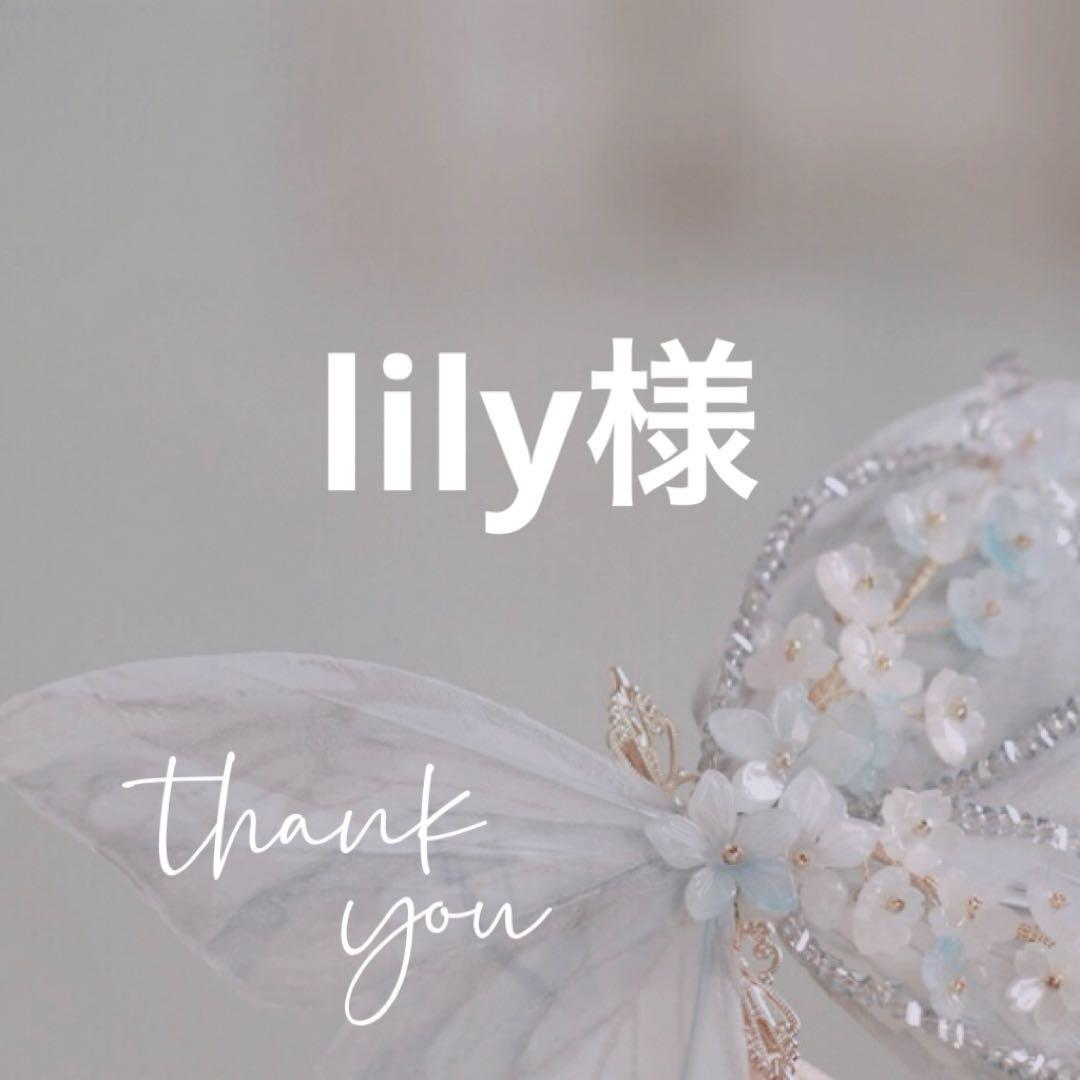 専用(サイズの関係で2号店と同梱発送)