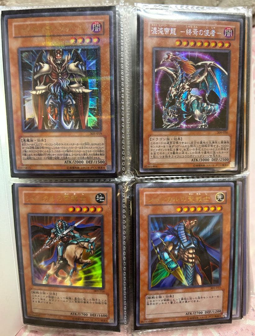 遊戯王OCGカード１１６枚セットケース、スリーブ入り