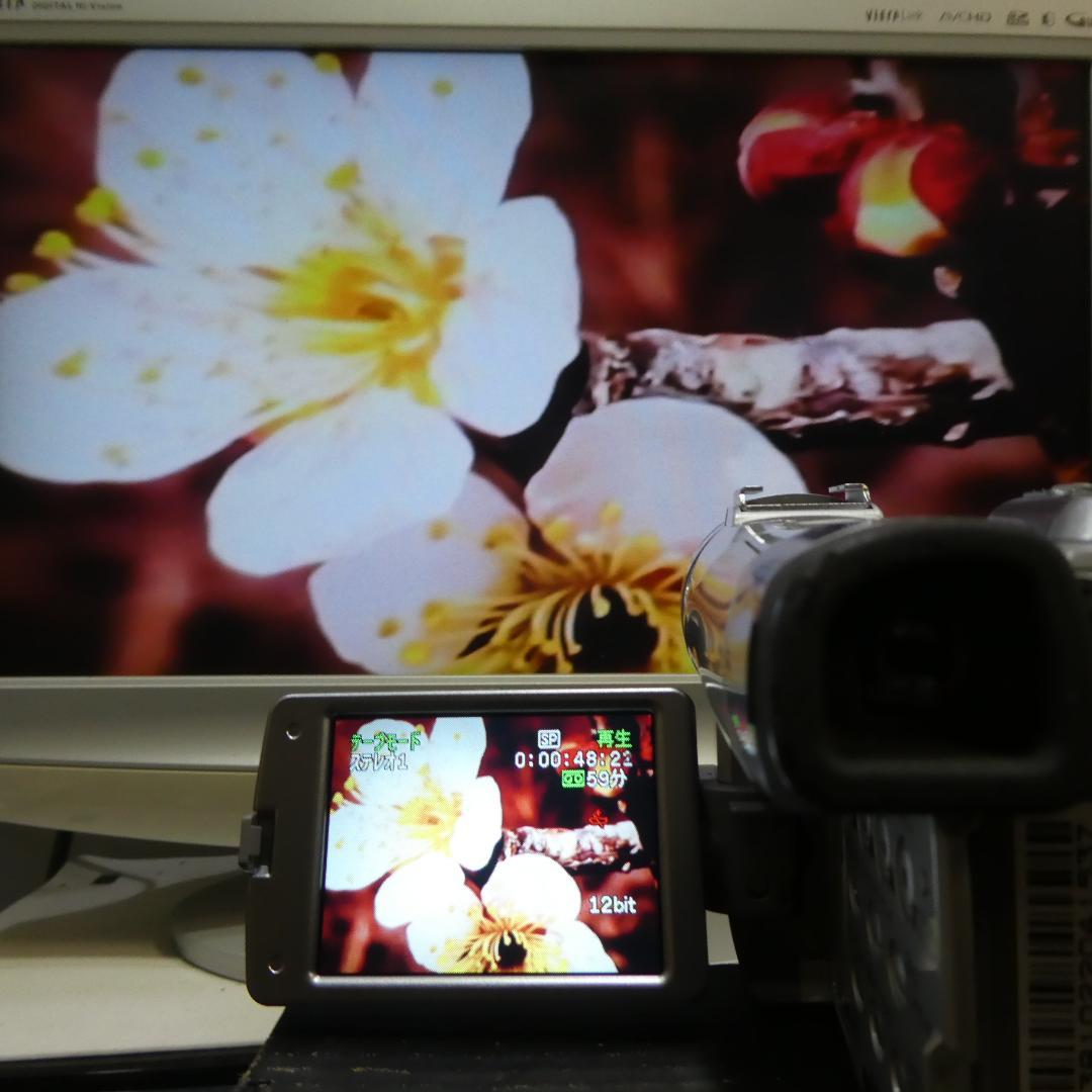 美品・動作良好 キャノン DM-FV M200 MiniDVビデオ DVD化に