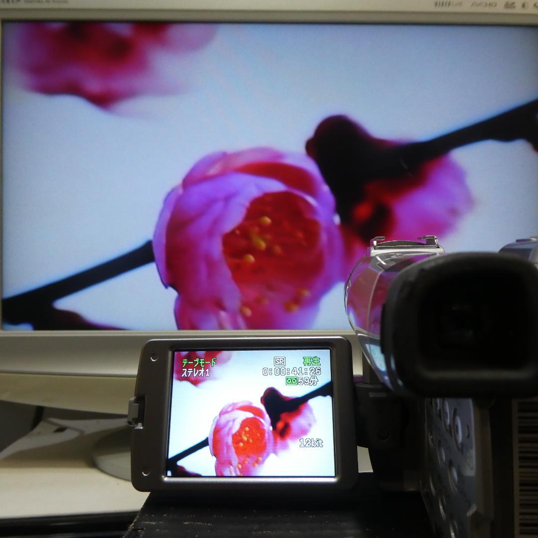 美品・動作良好 キャノン DM-FV M200 MiniDVビデオ DVD化に