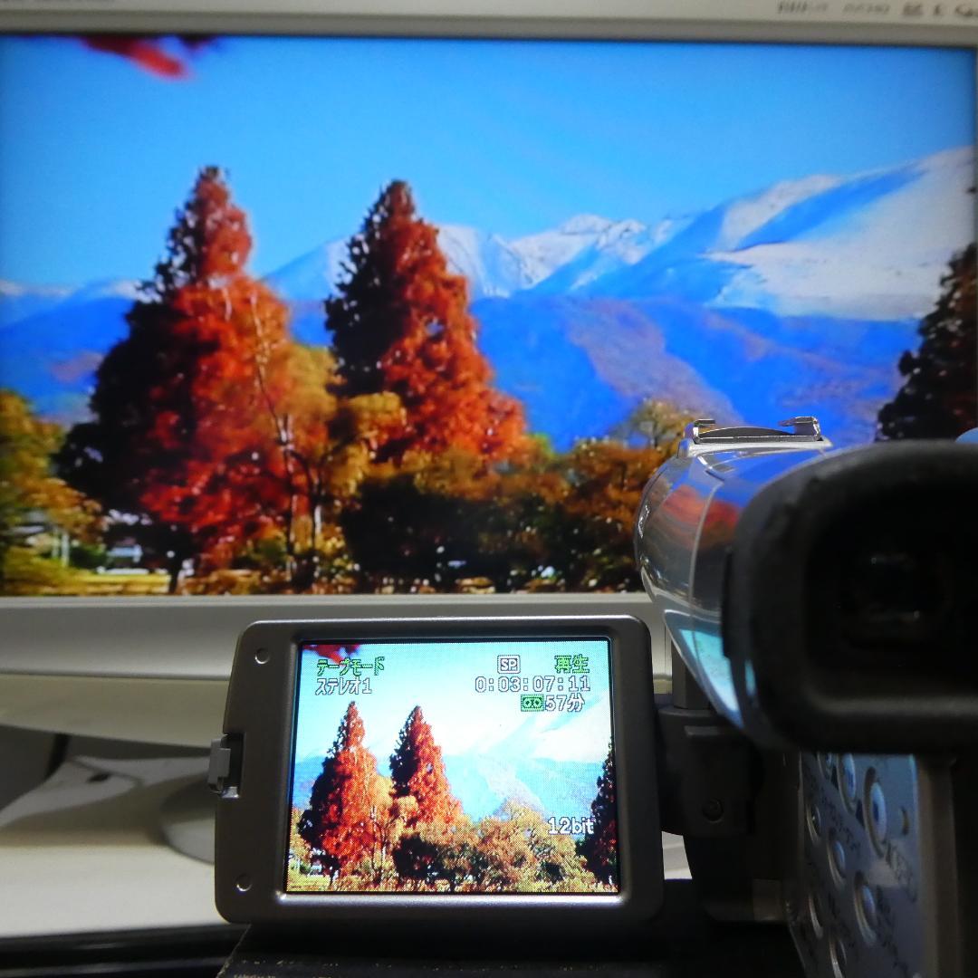 美品・動作良好 キャノン DM-FV M200 MiniDVビデオ DVD化に