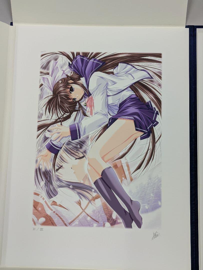 M&Iアート 山本和枝 IZUMO コレクターズエディション