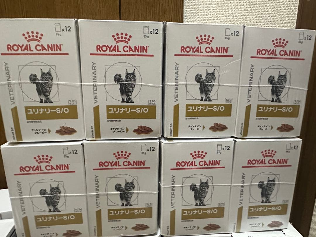  CANIN ユリナリー-S/O 96個入り