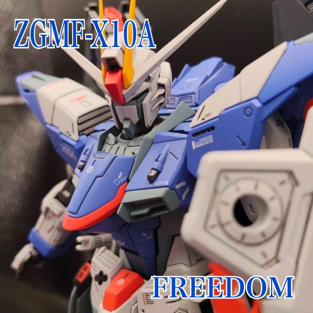 MG（ライジングフリーダム風）フリーダムガンダムver.2.0 全塗装