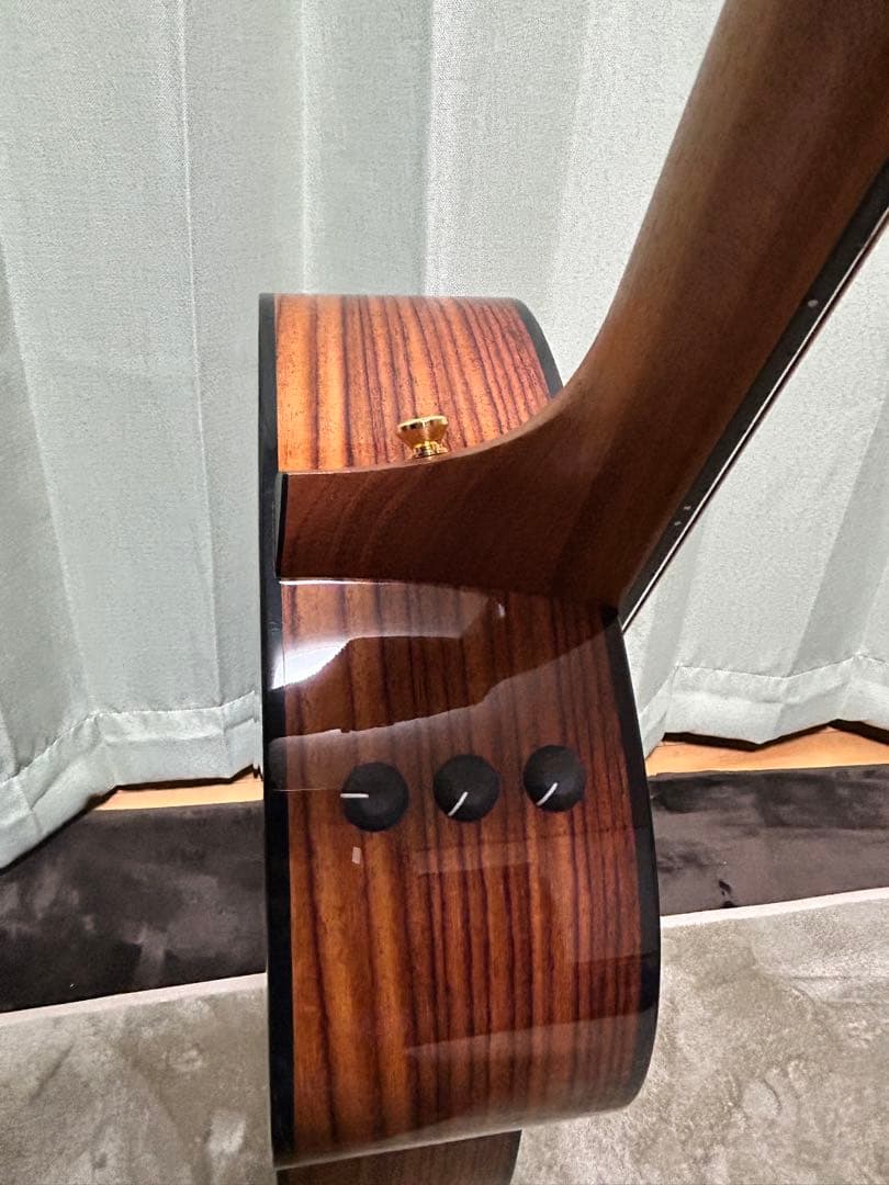 新年価格❗️Taylorエレアコ217e plus Ltd 50thアニバーサリー