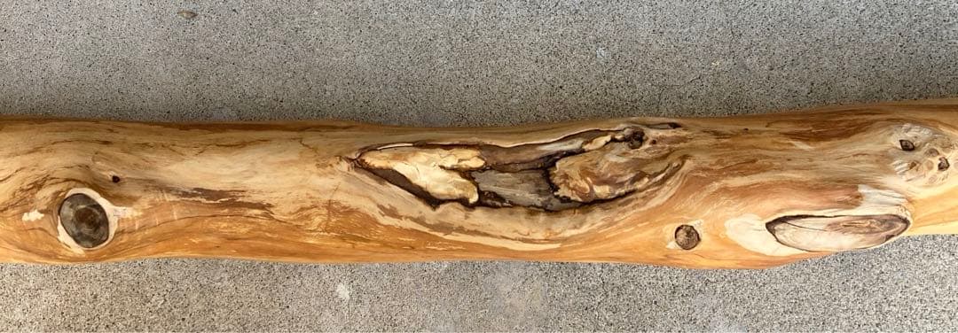 希少　樹齢150〜200年　杉枝　約143cm 鑑賞　庭　インテリア 骨董　華道