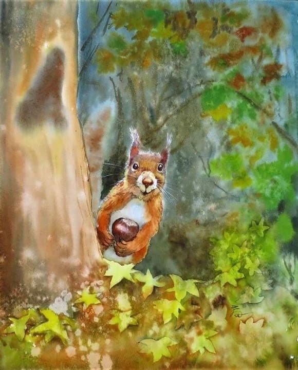 水彩画 リスのひょっこりはん