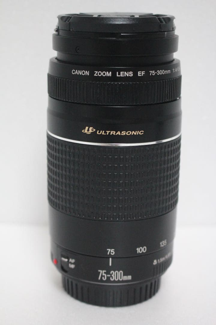 極上品/キャノン/迫力の300mm/フード付き/Canon EF75-300