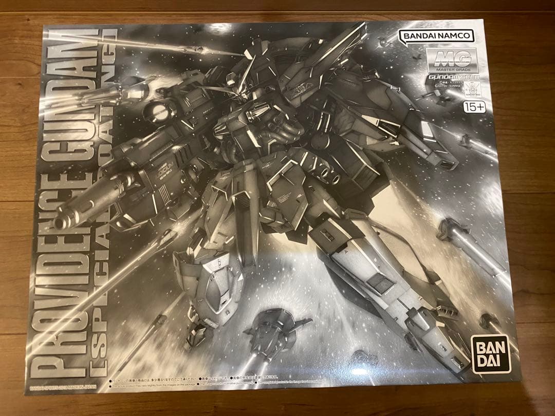 MG プロヴィデンスガンダム スペシャルコーティング 機動戦士ガンダムSEED