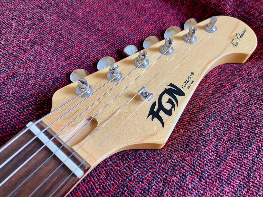 FGN 上位機種 テレキャス NTE21RAH アッシュ美品
