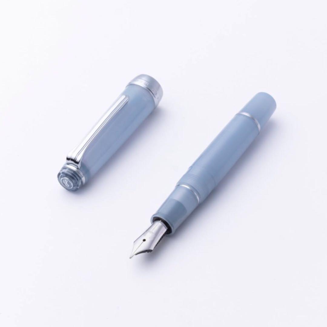 銀山スノーグレー・万年筆 パルム　B