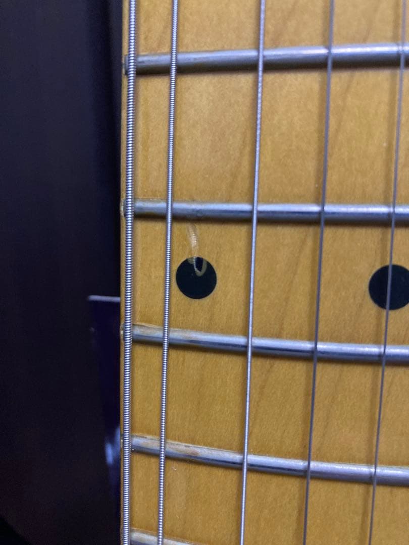 History Z1M-CFS 2TS 厚手専用ケース付き フジゲン製造