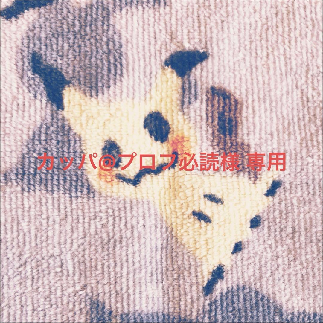 カッパ@プロフ必読