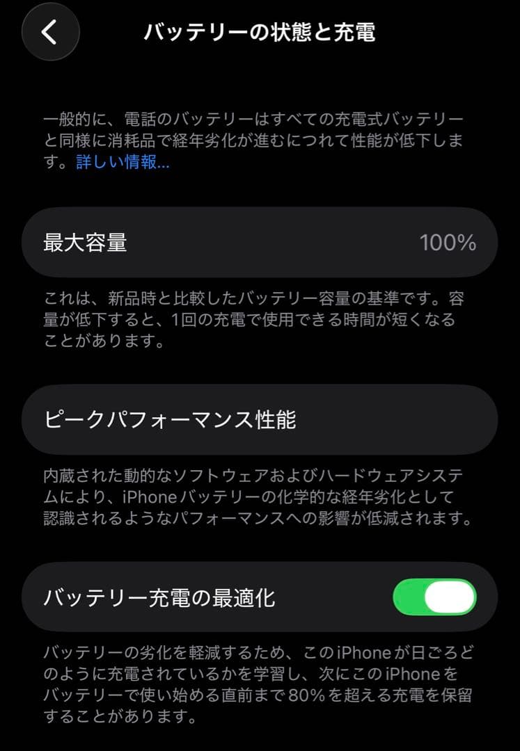 【バッテリー100%】Apple iPhone 13 Pro 256GB