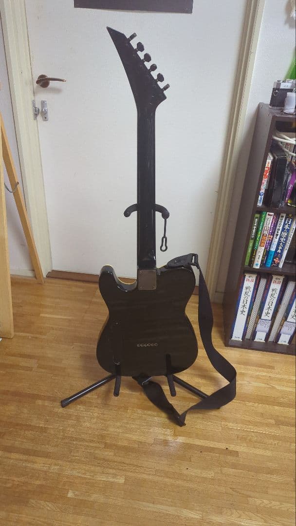 Fernandes limited Edition エレキギター ブラック