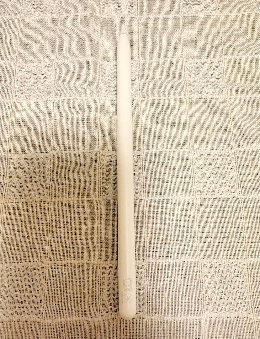 iPad Pro 11インチ第1世代256GB Apple Pencil第2世代