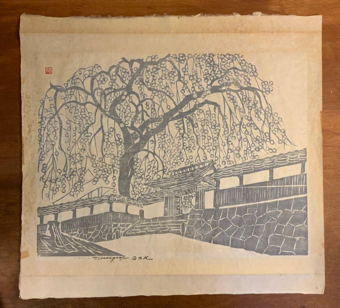 【 真作 大作 】枝垂れ桜　無弟（長谷川富三郎） マクリ