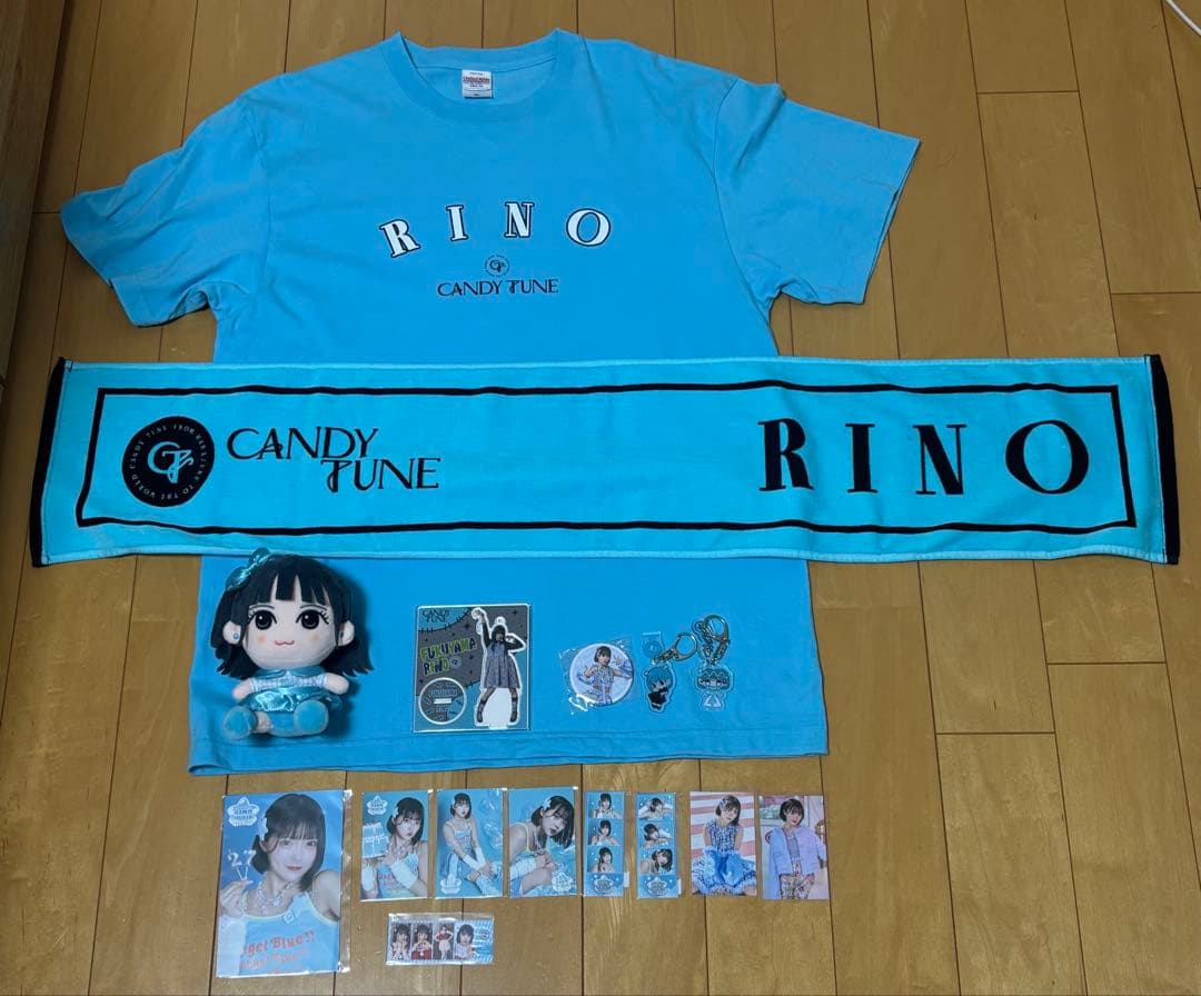 CANDY TUNE きゃんちゅー 福山梨乃　グッズ