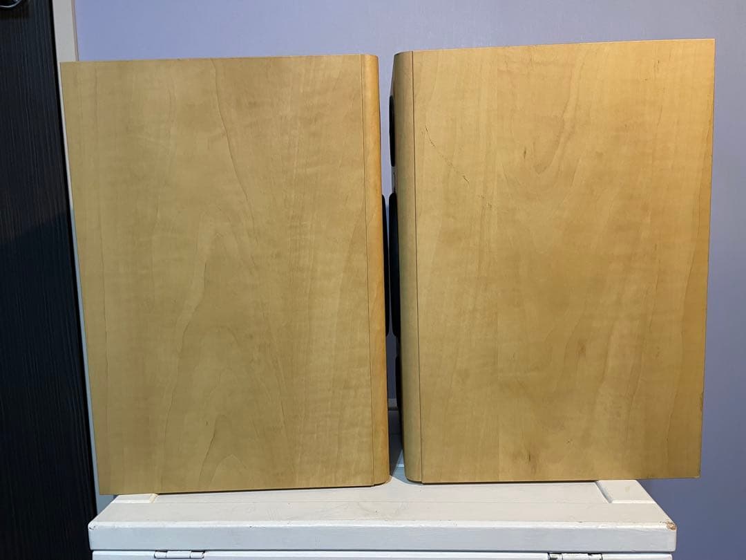 イギリス　TANNOY Fusion 1 ブックシェルフスピーカー シリアル連番