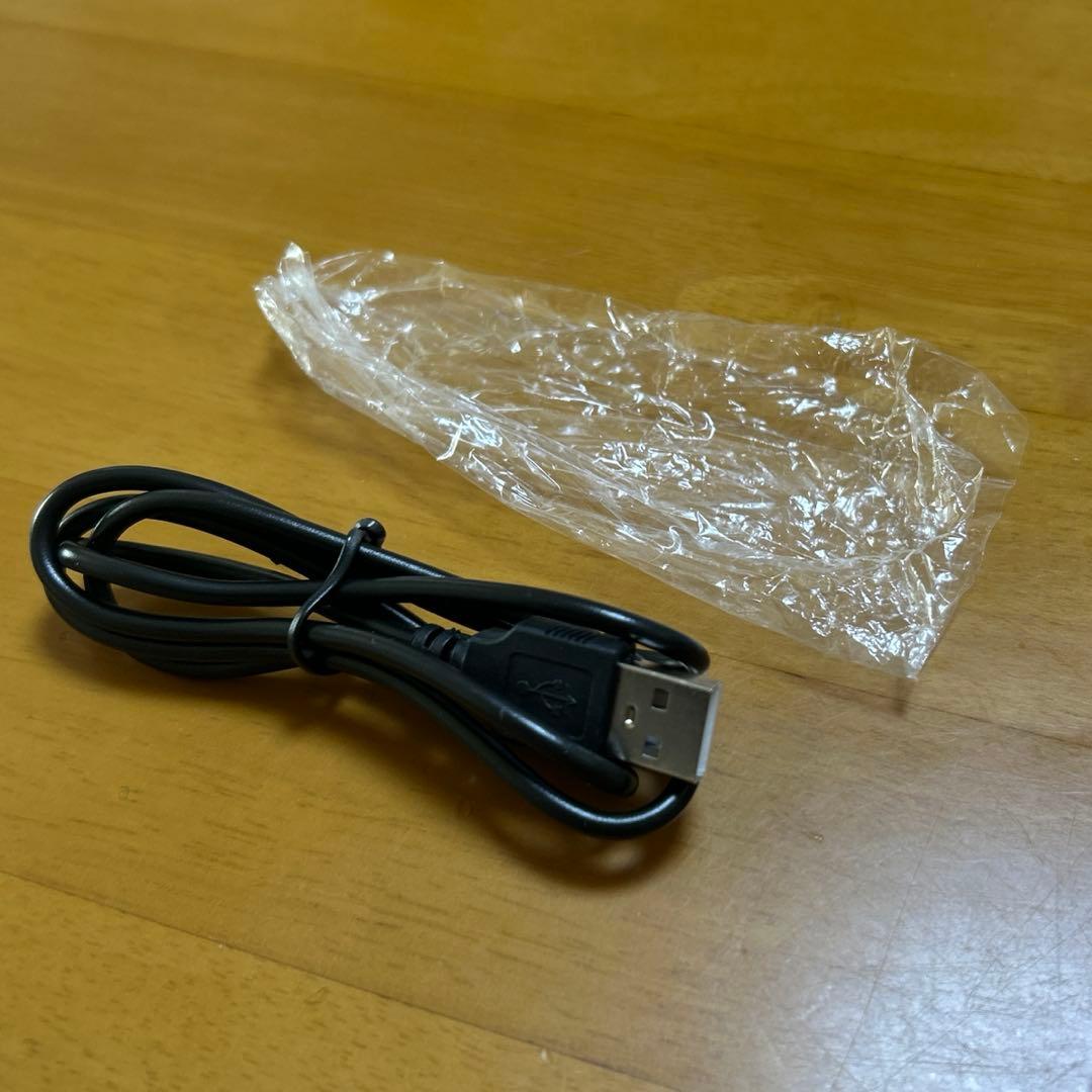 SONYWALKMAN NW-E505 ソニーウォークマン　動作確認済み